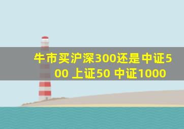 牛市买沪深300还是中证500 上证50 中证1000